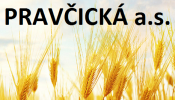 logo_pravcickaas